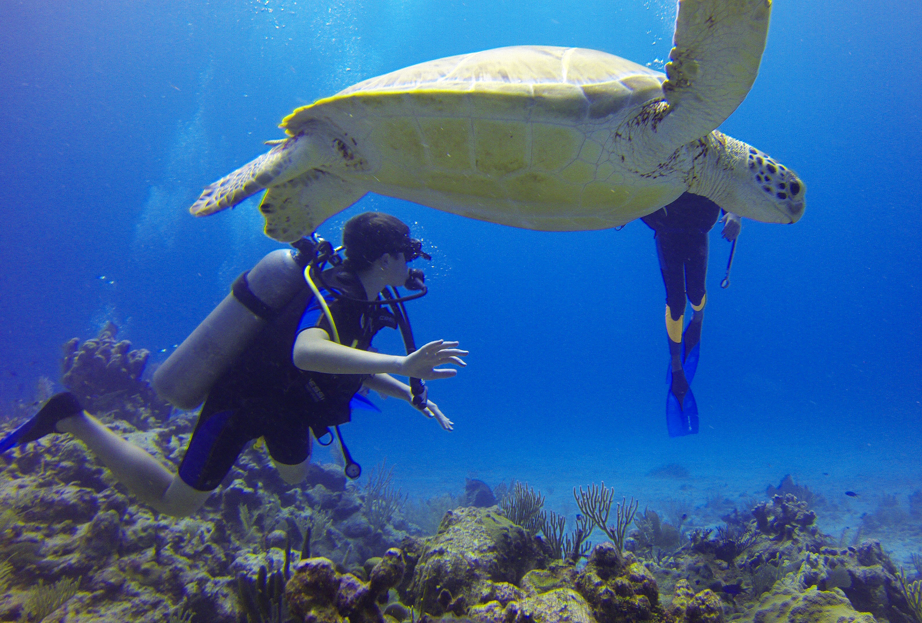 Many coastal communities rely on ecosystems to support the tourism industry.