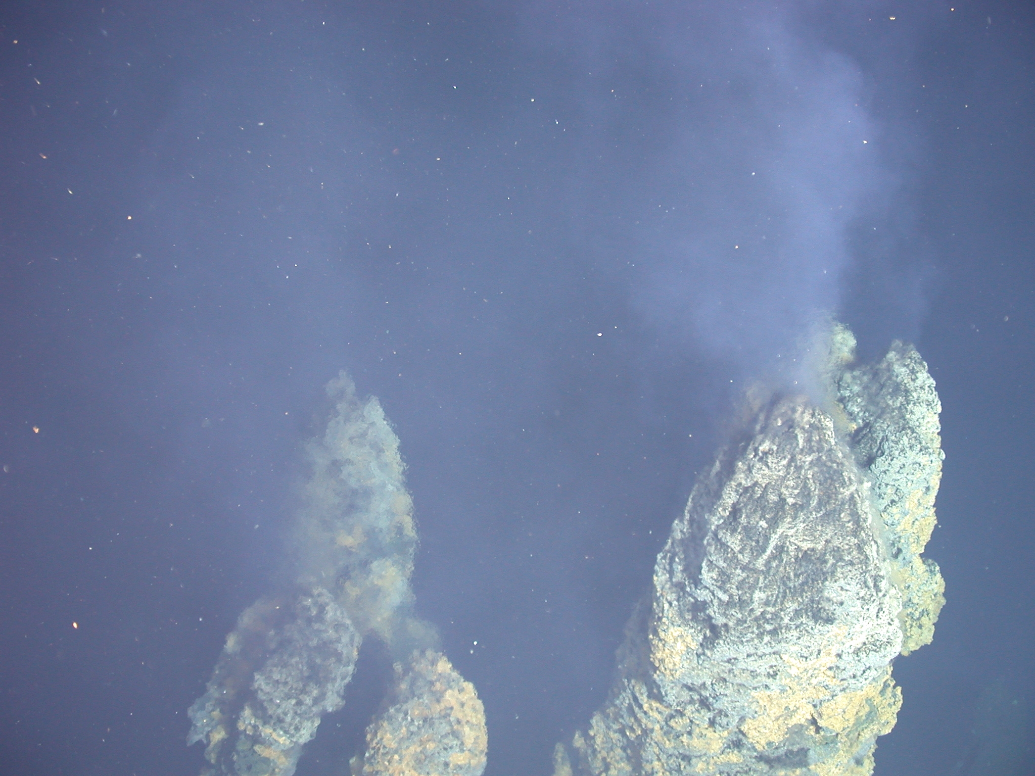 Minerals in hydrothermal vent fluids form deposits on and near the seafloor. Hydrothermal vents support rich and complex ecosystems. Image courtesy of NOAA.