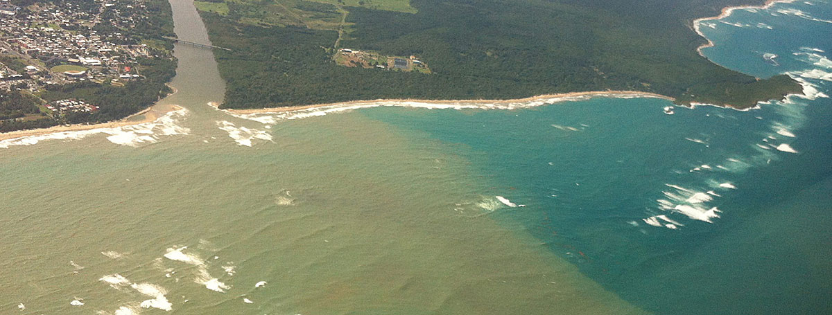 This photo, courtesy of NOAA, shows a sediment plume off the coast of Puerto Rico. Sediments and chemical pollutants from coastal development and human activities can disrupt and damage sensitive ecosystems.